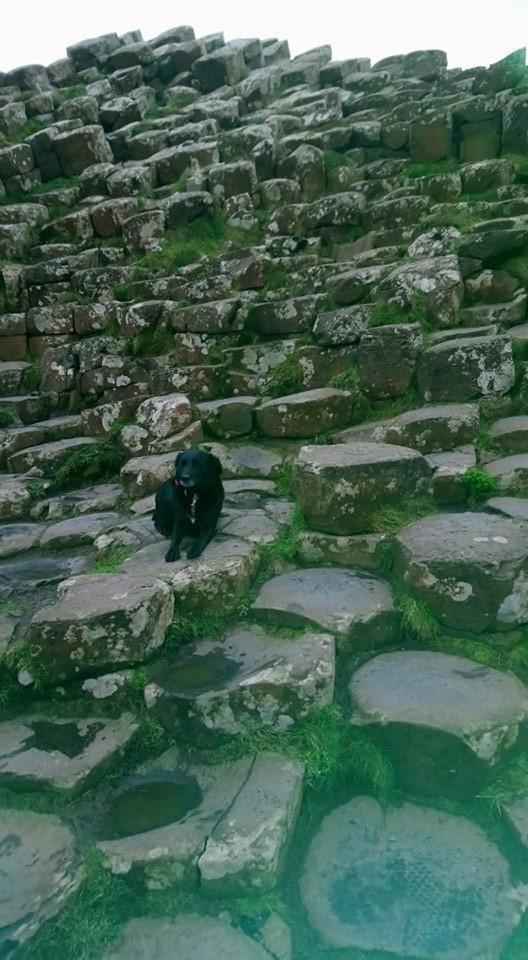 Dunseverick Ramblers Rest Бушмилс Екстериор снимка